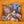 Carregar imagem no visualizador da galeria, BOX GOMAS